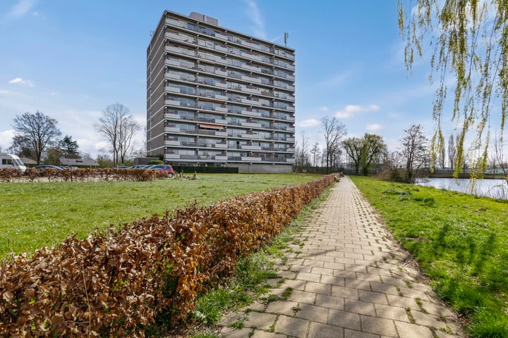 Aalscholversingel 500 in Velp foto