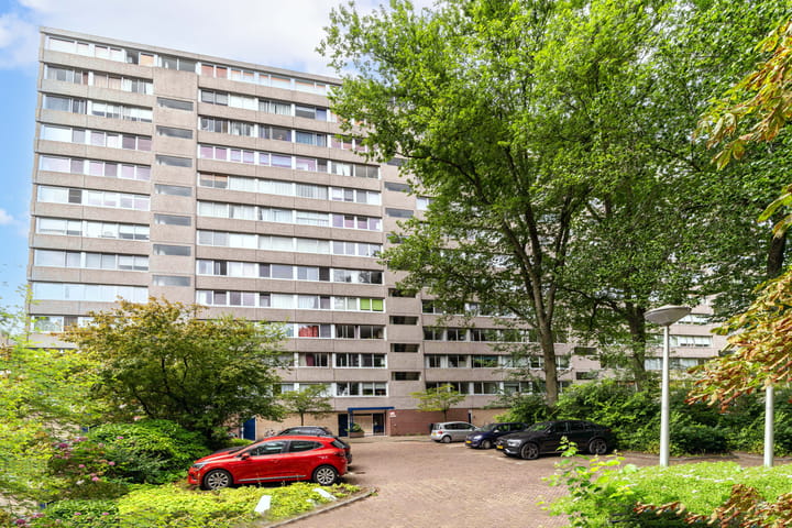 Aart van der Leeuwlaan 1078 in Delft