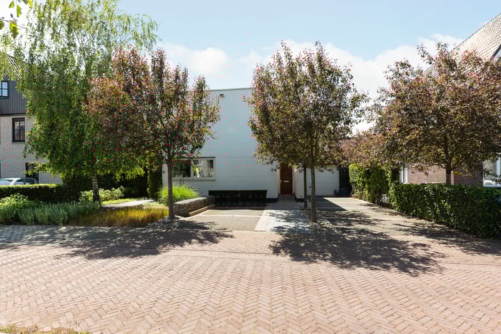 Abdis Badelogehof 5 in 's-Gravenhage foto