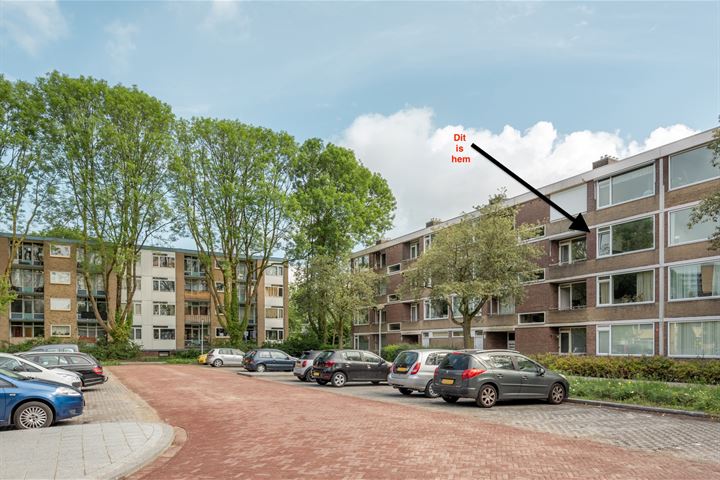 Abeelstraat 87 in Groningen foto