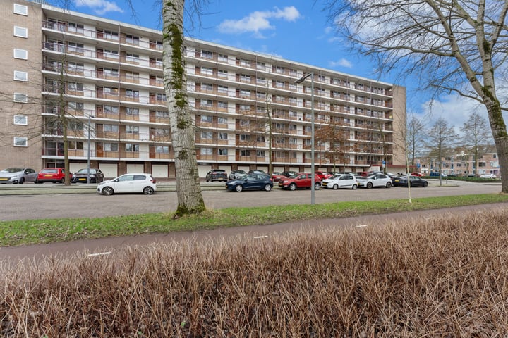 Abeelweg 150 in Rotterdam foto