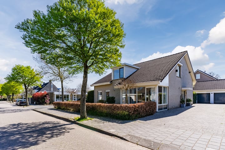 Achtse Loop 25 in Eindhoven foto