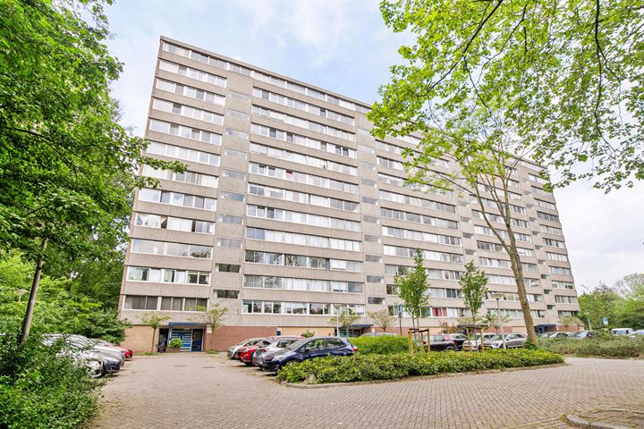 Adama van Scheltemaplein 65 in Delft foto