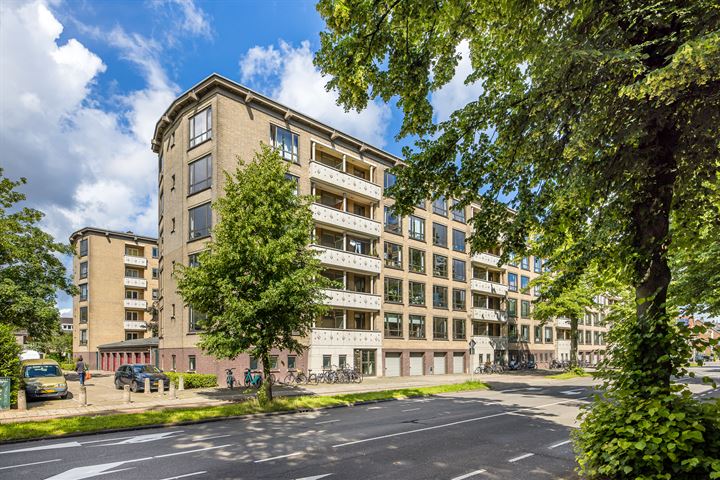 Adriaen van Ostadelaan 169-2 in Utrecht foto