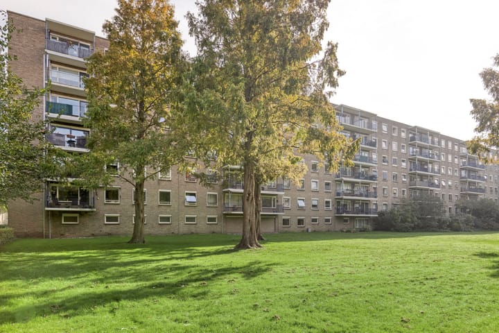 Aert van Neslaan 215 in Oegstgeest