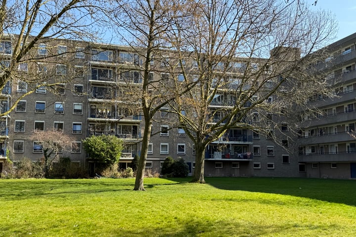 Aert van Neslaan 513 in Oegstgeest foto