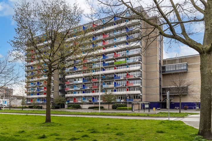 Aïdaplein 211 in Alphen aan den Rijn foto