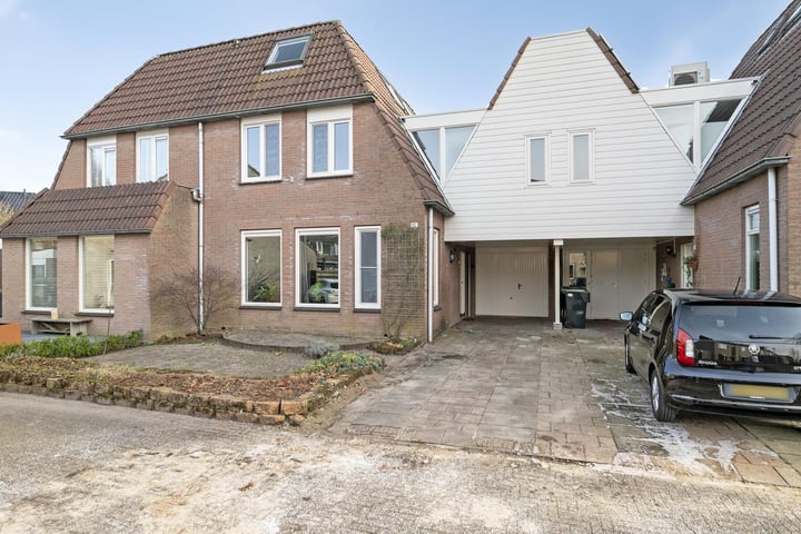 Akelei 112 in Kampen foto