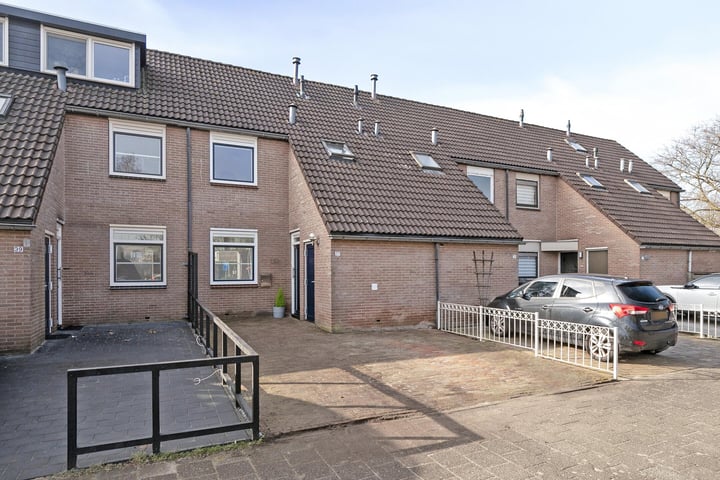 Akelei 37 in Kampen foto
