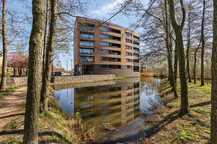 Akkerviool 79 in Hendrik-Ido-Ambacht foto