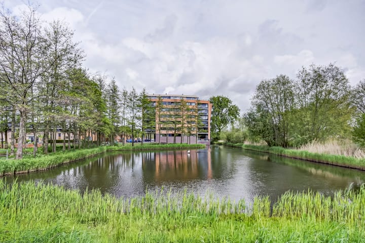 Akkerviool 89 in Hendrik-Ido-Ambacht foto