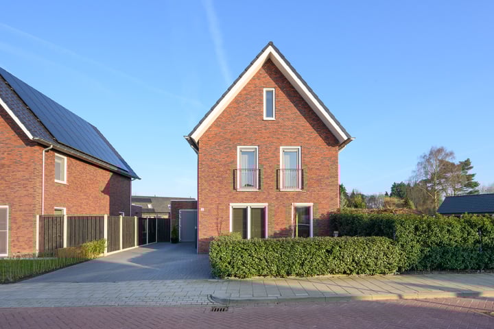 Alant 2 in Brummen foto