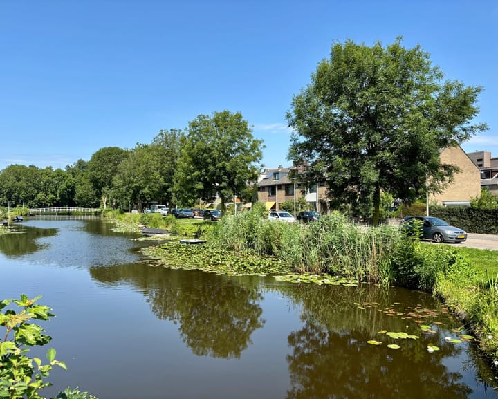 Albert Meijnsstraat 16 in Wormerveer