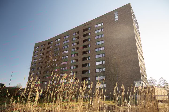 Albert Schweitzersingel 123 in Zoetermeer foto