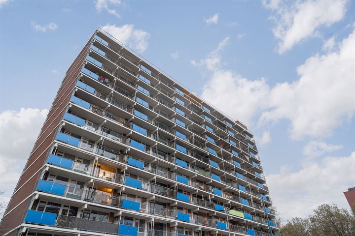 Albertine Agneslaan 294 in Vlaardingen foto