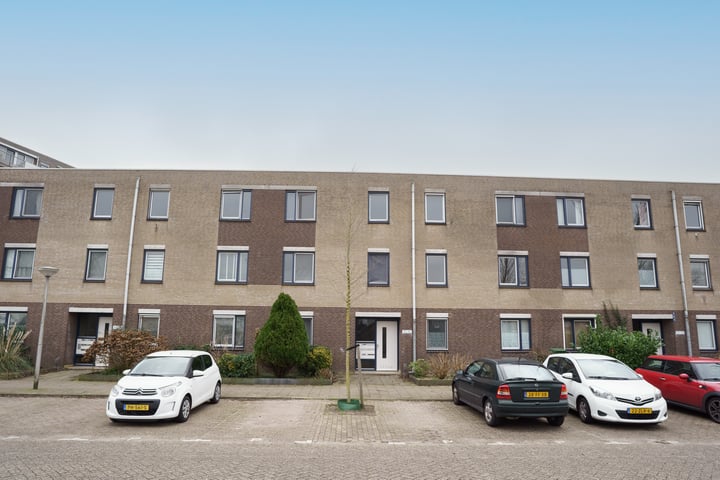 Aletta Jacobsstraat 36 in Delft foto
