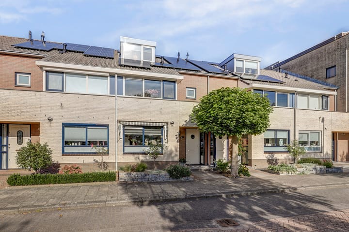 Amaliastein 181 in Vianen