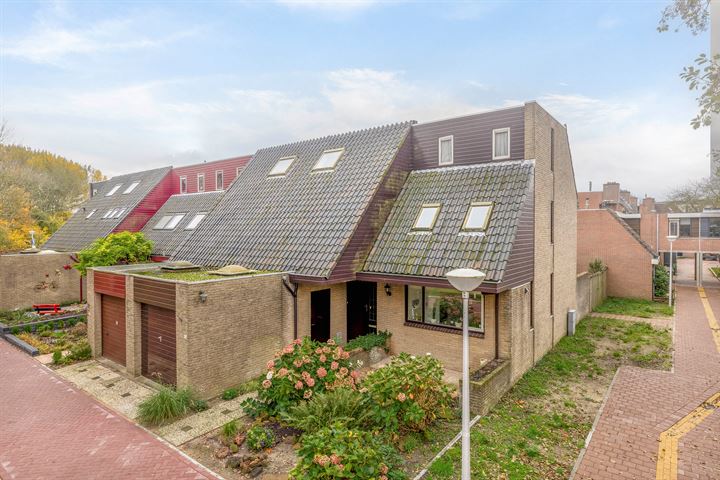 Amer 10 in Pijnacker foto