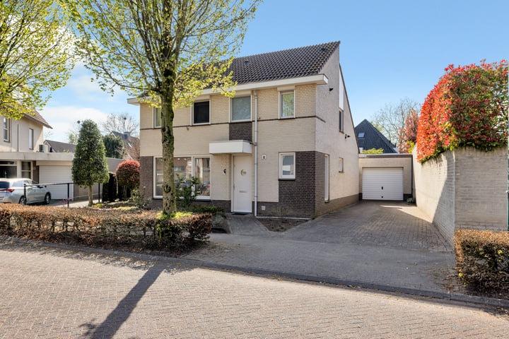 Amer 48 in Veldhoven foto