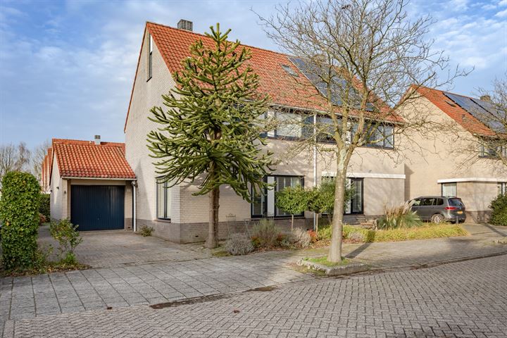 Amethyst 21 in Hoorn foto