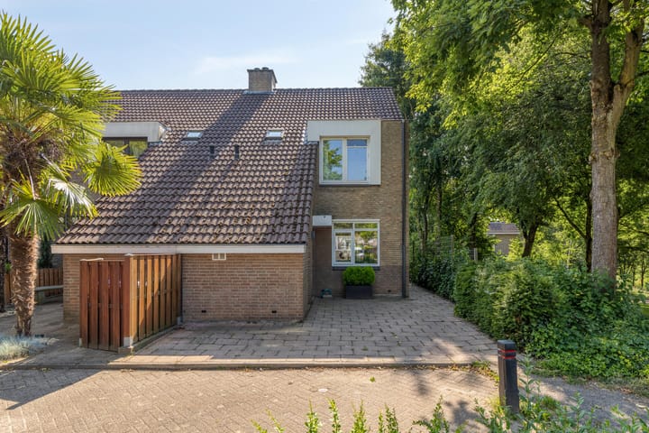 Ammonieterf 2 in Heerlen foto