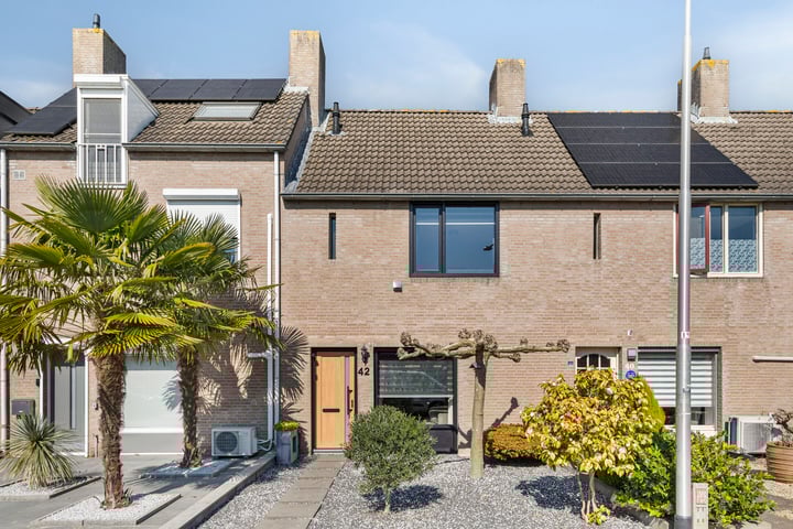 Anemoon 42 in Udenhout foto