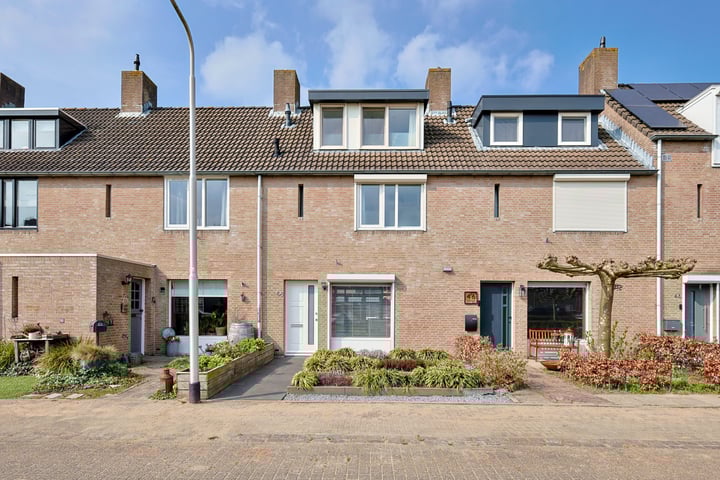 Anemoon 48 in Udenhout foto