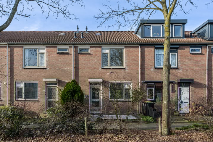Anijszoom 22 in Voorhout foto