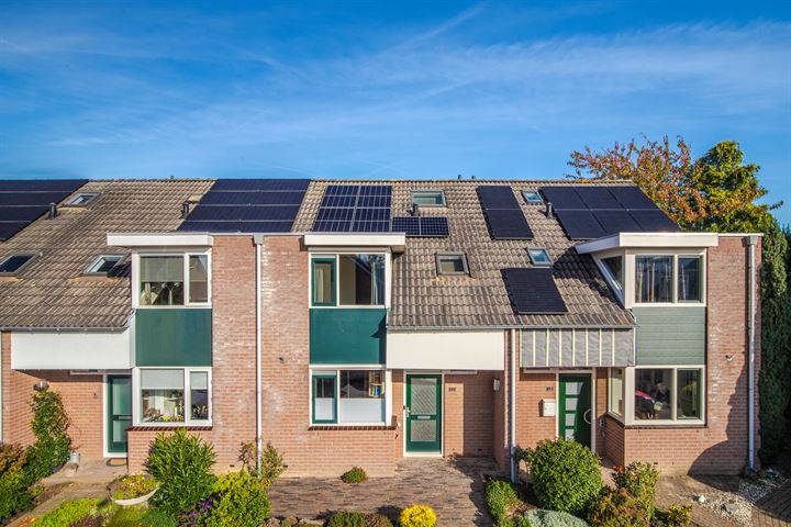 Anna Blamanlaan 11 in Elst foto