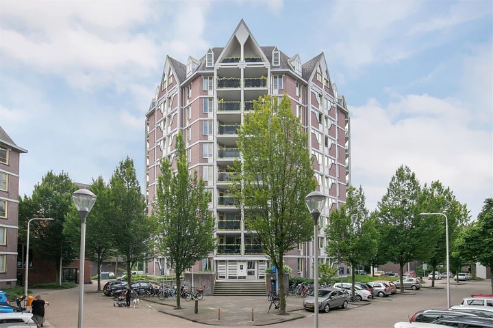 Anna Paulownahof 228 in Tilburg foto