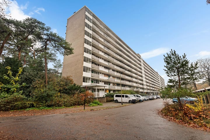 Anna Paulownalaan 170 in Zeist foto