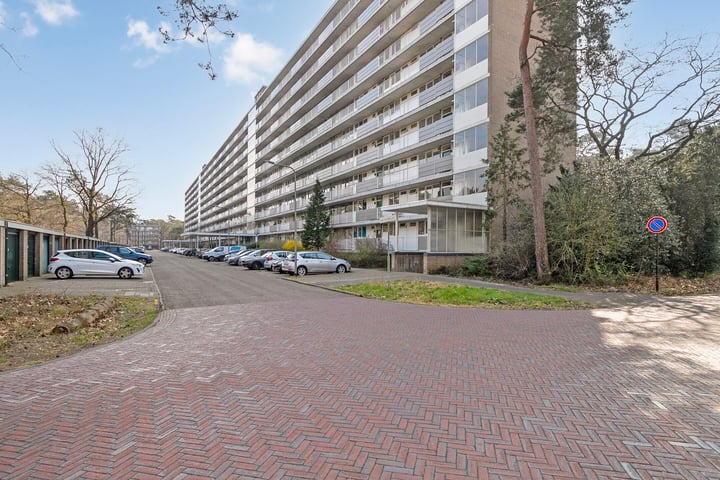 Anna Paulownalaan 38 in Zeist foto