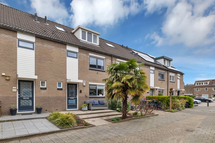 Annie Salomonshof 8 in Schiedam foto