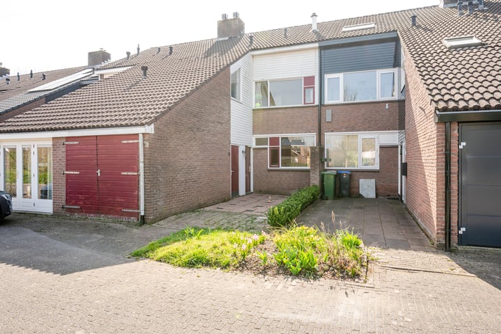 Antilope 39 in Huizen