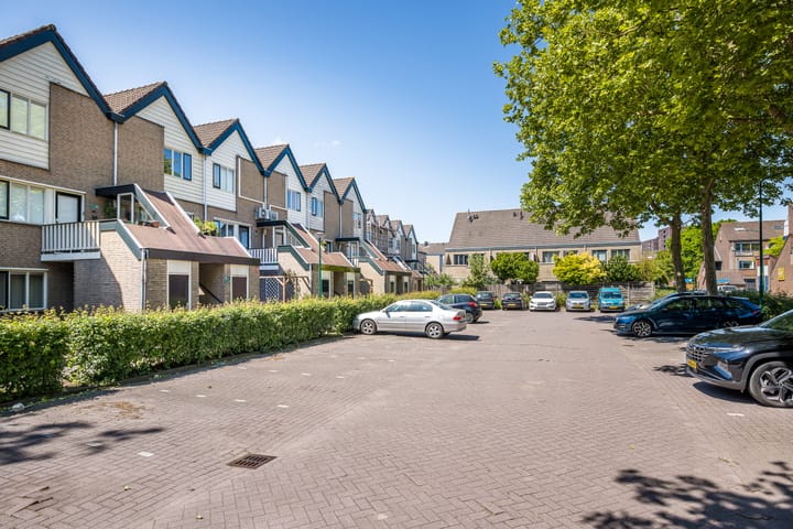 Antilopespoor 383 in Maarssen foto
