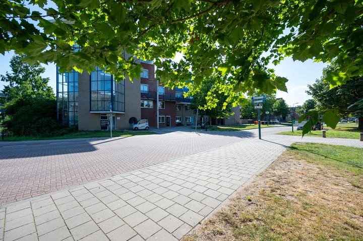 Antilopespoor 52 in Maarssen foto