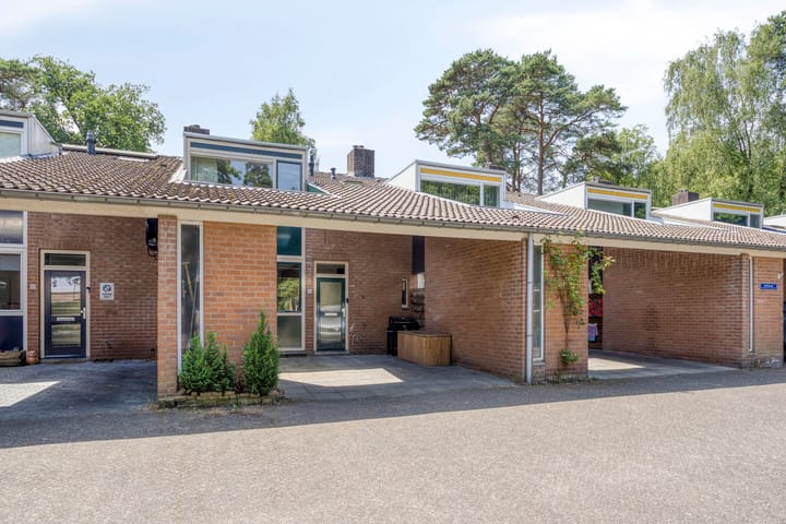 Apollo 51 in Soesterberg