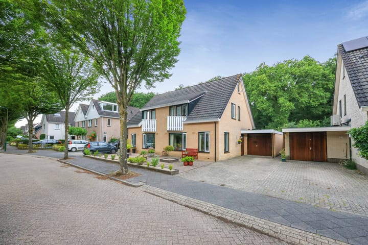 Apollovlinder 32 in Bilthoven foto
