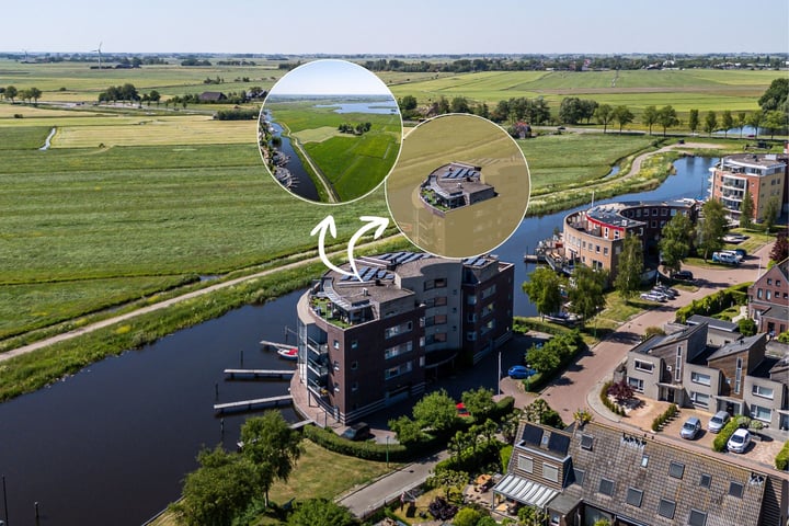 Apollovlinder 72 in Sneek