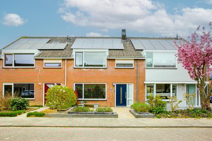 Appelakker 4 in Cothen foto
