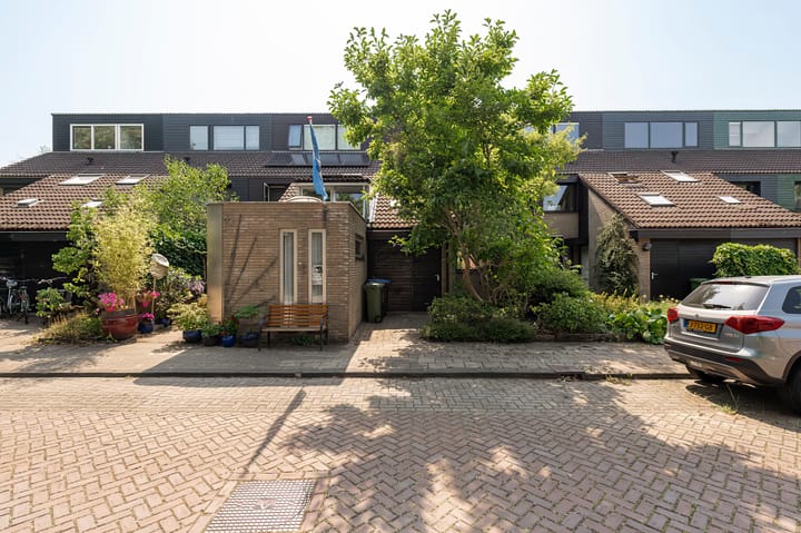 Appelboom 10 in Culemborg foto