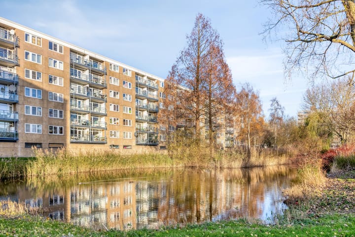 Argostraat 256 in Alphen aan den Rijn