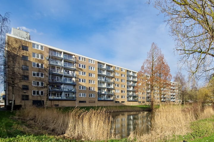 Argostraat 314 in Alphen aan den Rijn foto