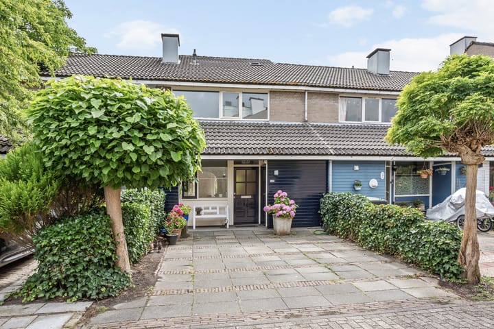 Argusvlinder 10 in Leiden foto