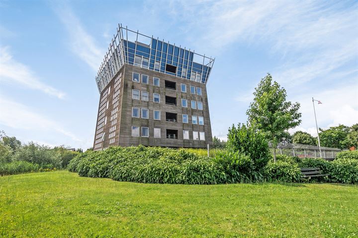 Ark 10 in Nijkerk foto
