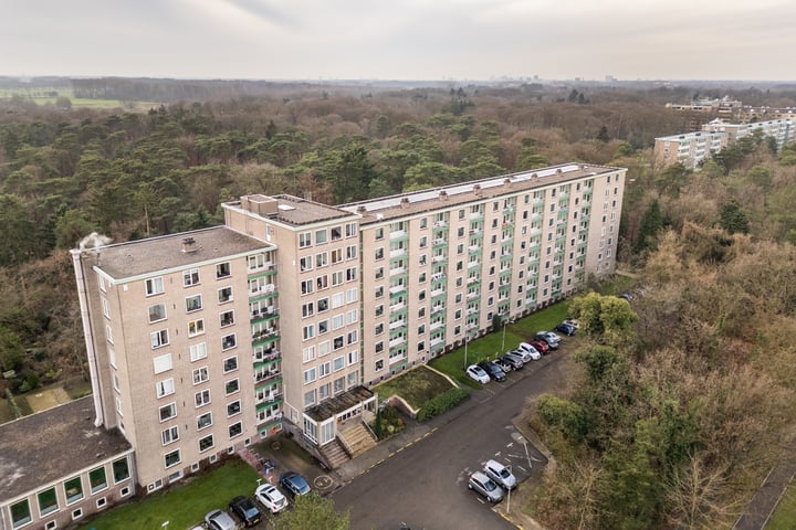 Arnhemse Bovenweg 16-81 in Zeist foto