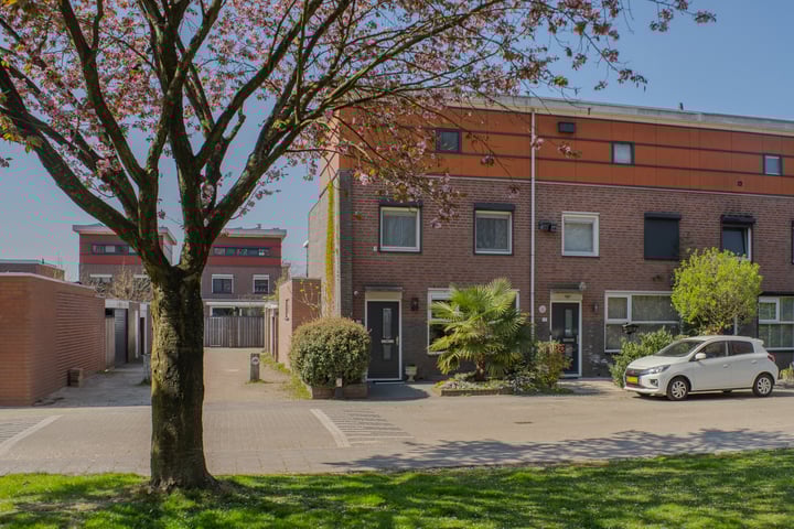Assepoester 13 in Eindhoven