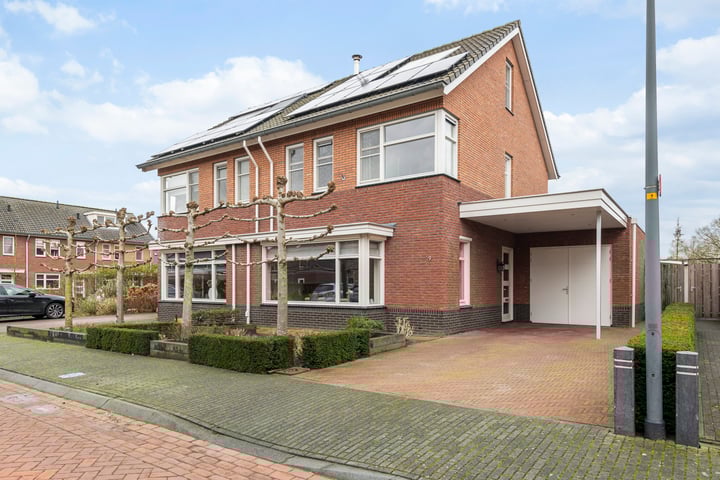 Aurelia 19 in Holten foto