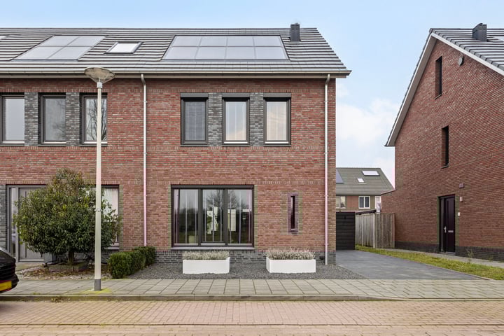Aurelia 20 in Someren foto