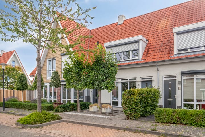 Aurelia 6 in Terneuzen foto